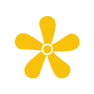 A simple yellow flower with five rounded petals and a circular center, displayed on a black background.
